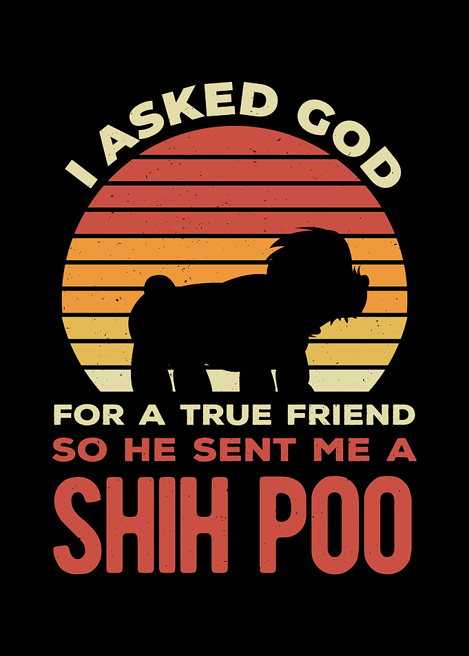 Shih Poo Funny