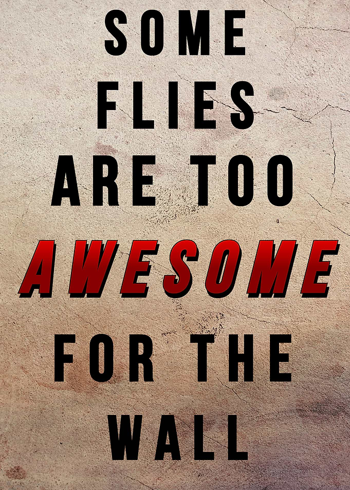 Some Flies Are Too Awesome