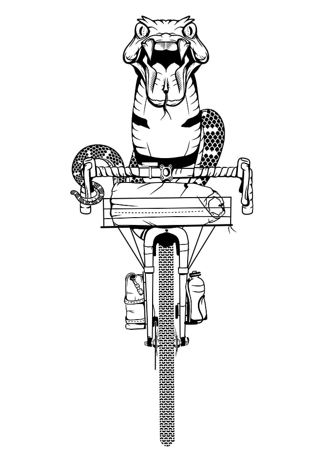 Snake Riding A bike