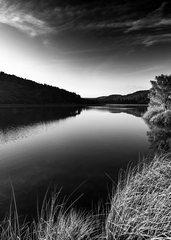 Natural parks Park Lake