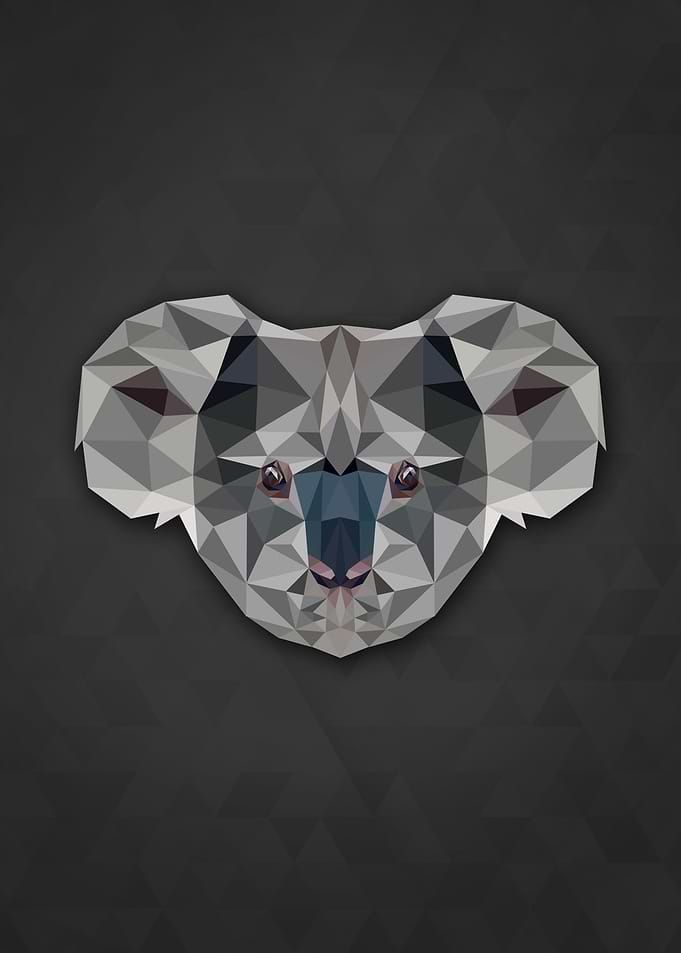 Polygon Koala