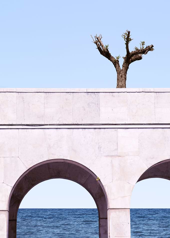 A Tree Above The Sea