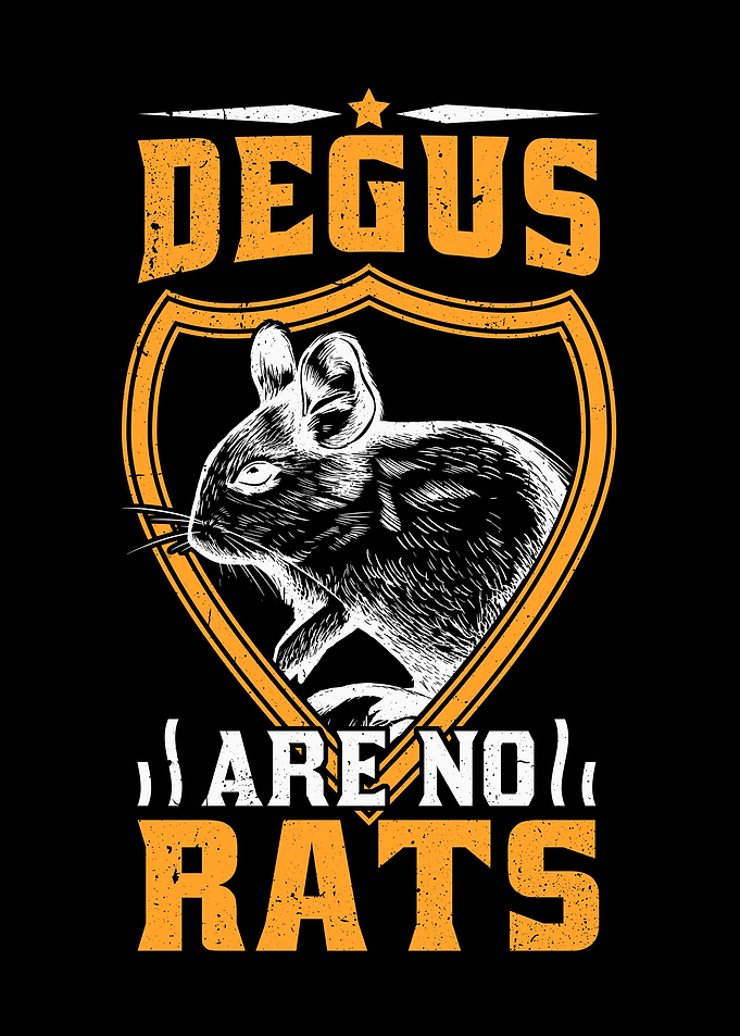 Degus Are Not Rats Rodents