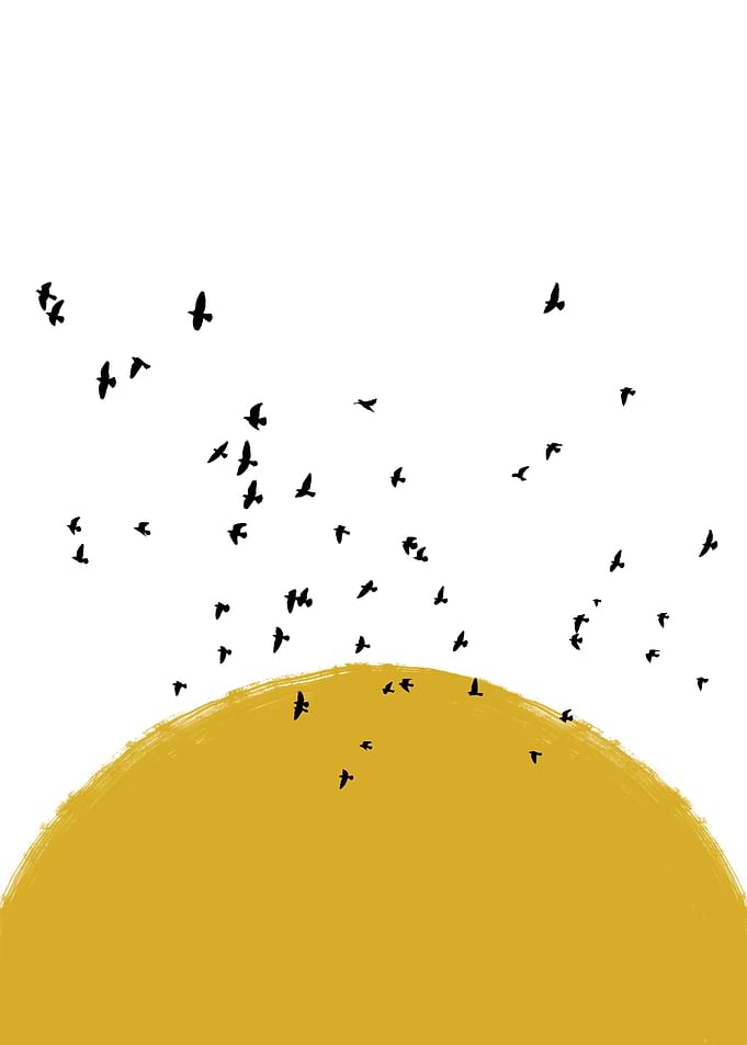 Yellow Sun