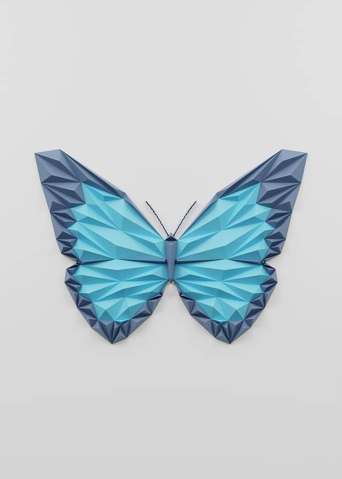 butterfly