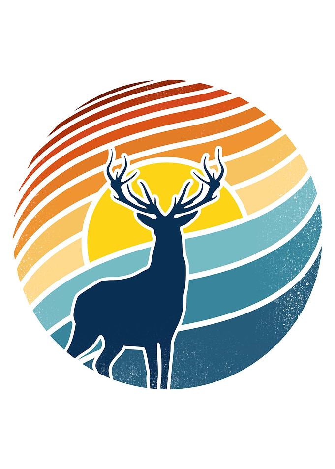A Deer Geometry
