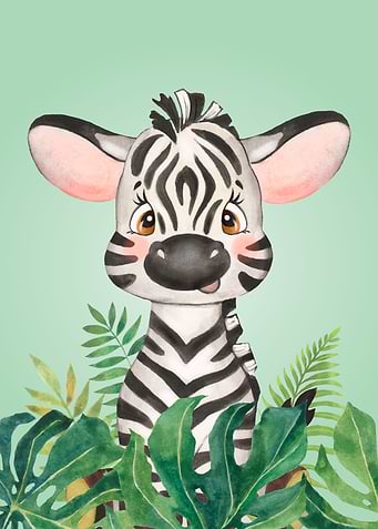 Baby Zebra Jungle Animal