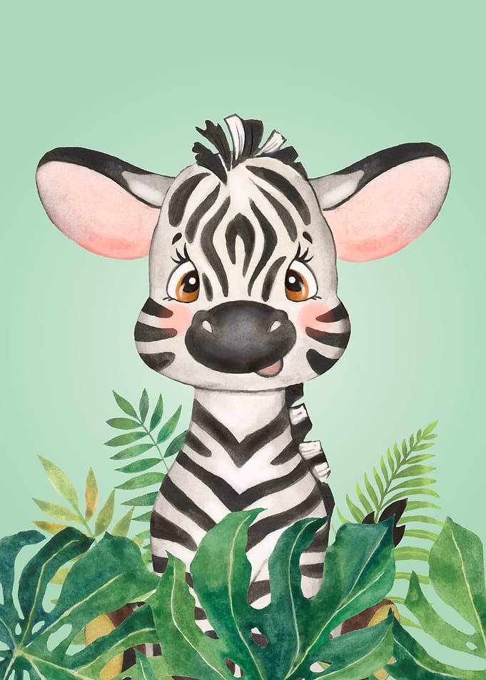 Baby Zebra Jungle Animal