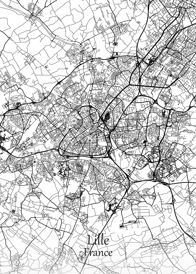 Lille City France