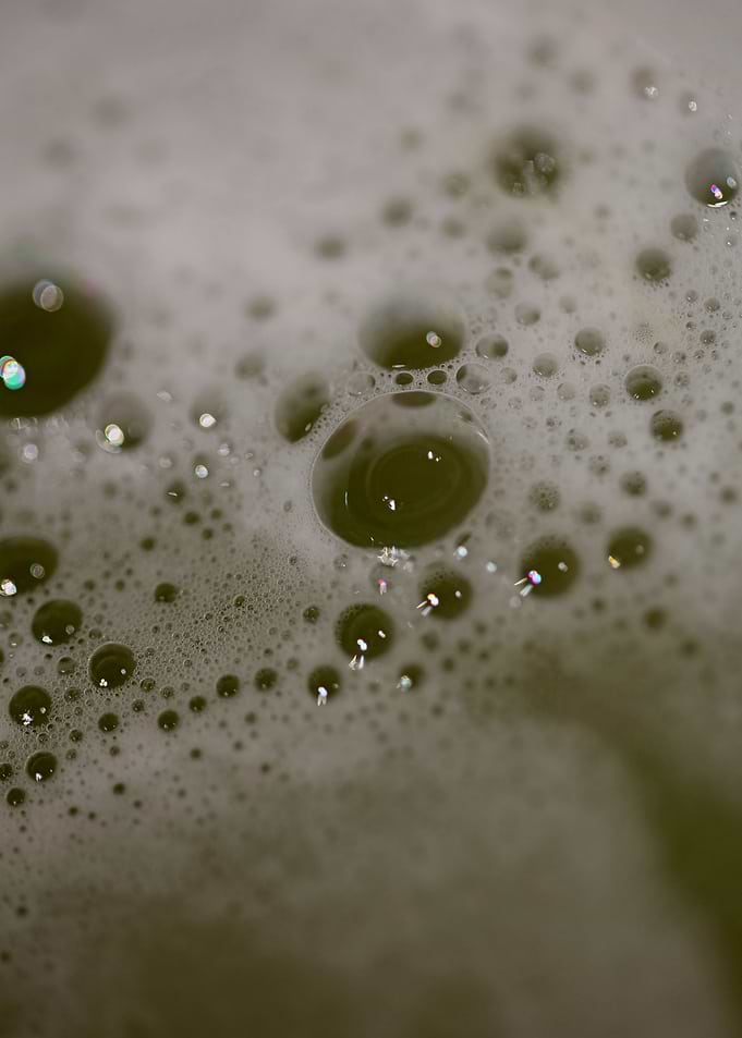 Bubbles macro background