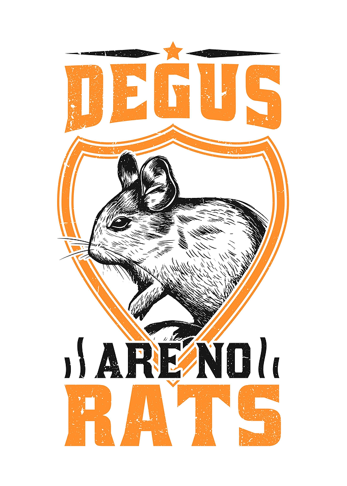 Degus Are Not Rats Rodents