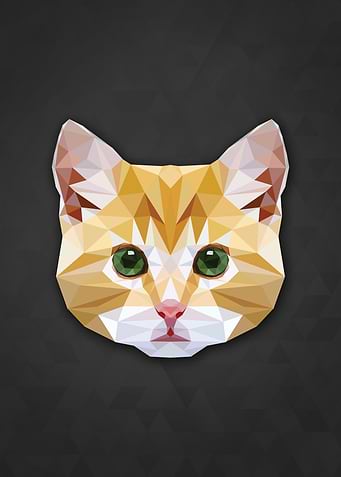 Polygon Cat