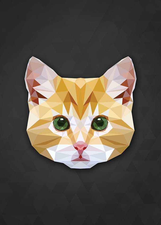 Polygon Cat