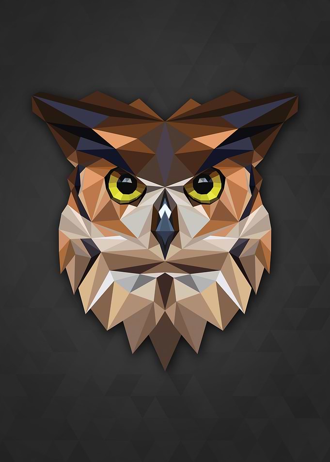 Polygon Owl
