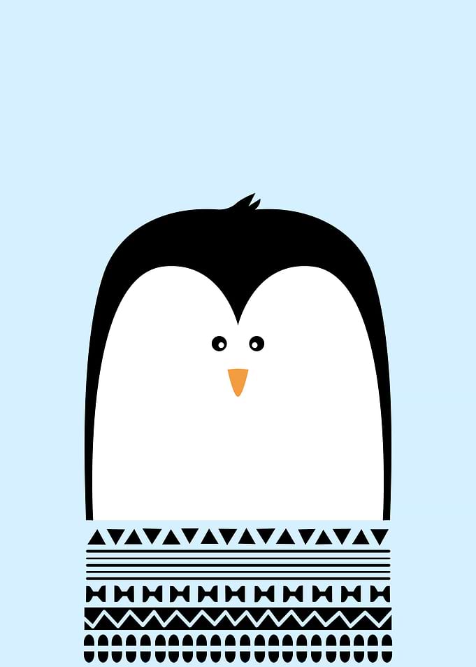 little penguin portrait