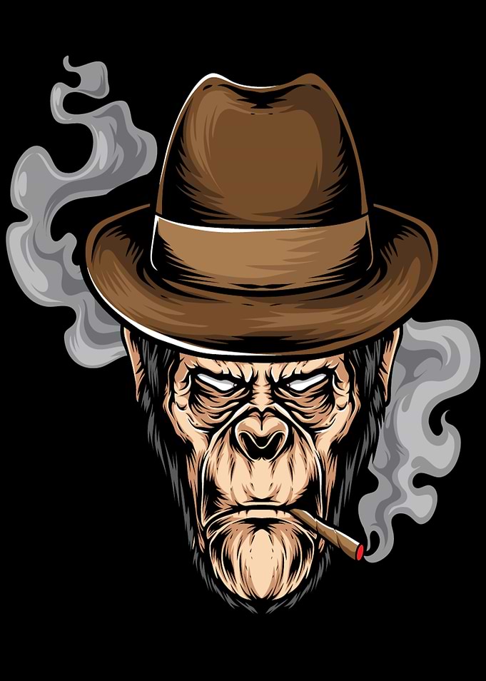 Monkey