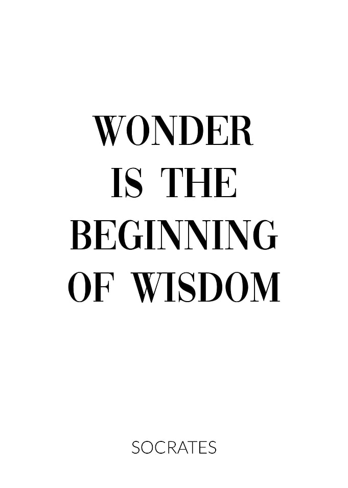 Socrates Quote