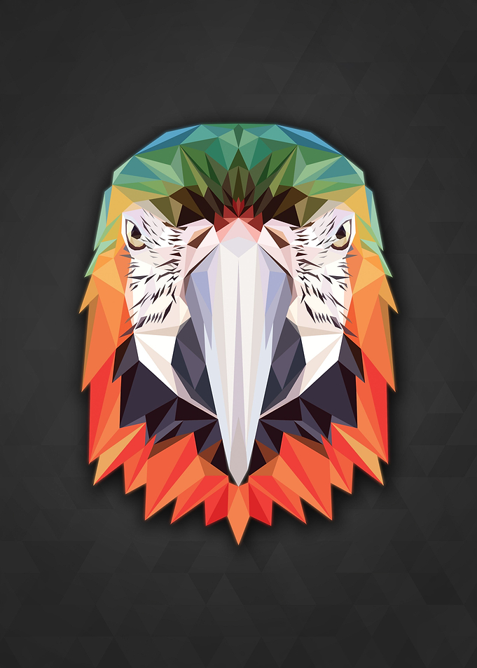 Polygon Parrot