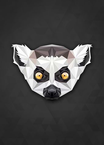 Polygon Lemur