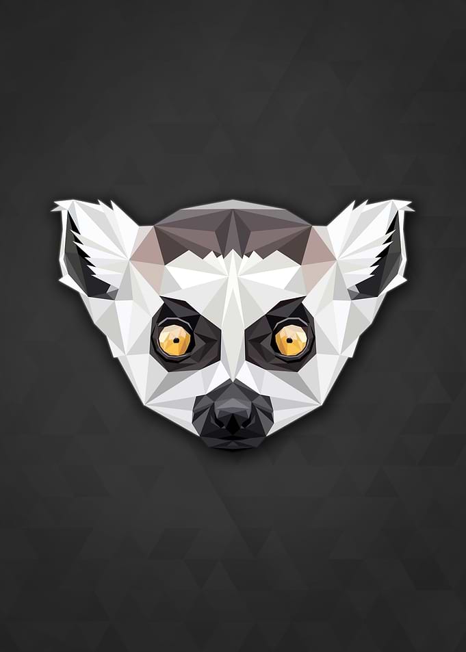 Polygon Lemur