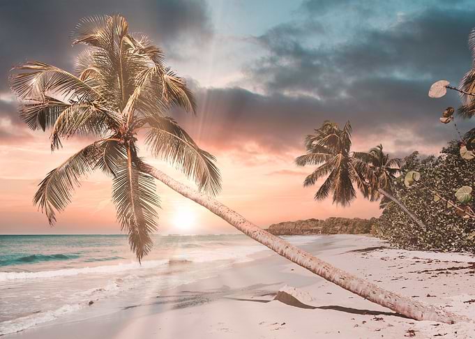 beach