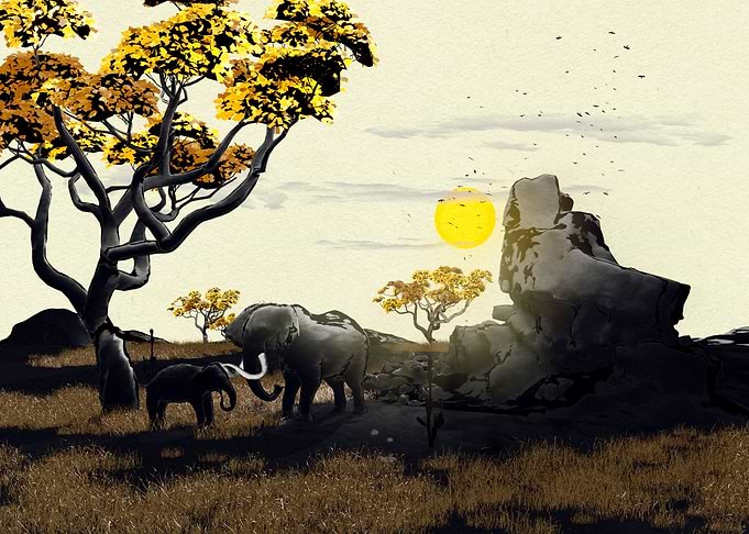 African Sunset