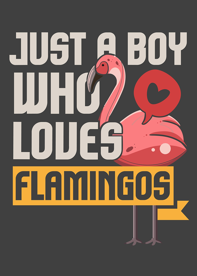 Just A Boy Who Loves