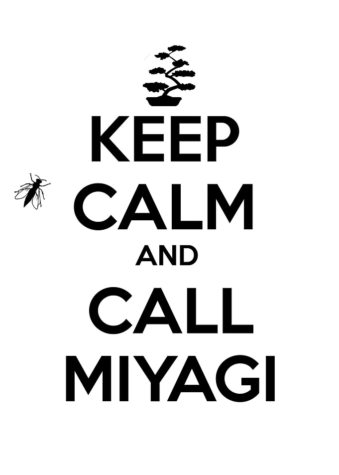 Miyagi karate kid