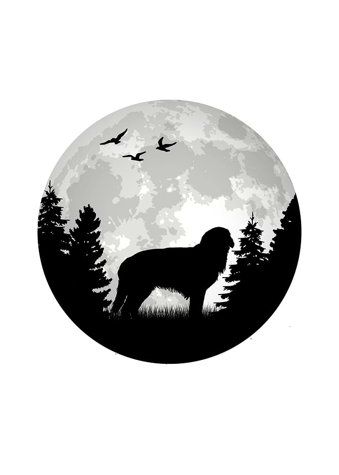 Hovawart Moon Dog Owner