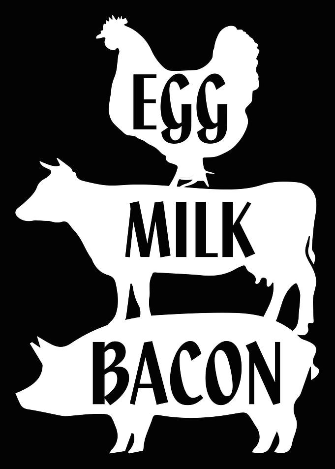 egss bacon milk
