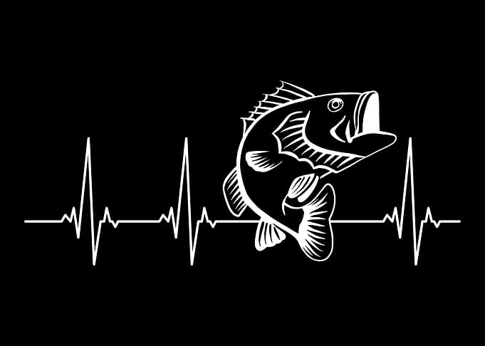 Fishing Bass heartbeat