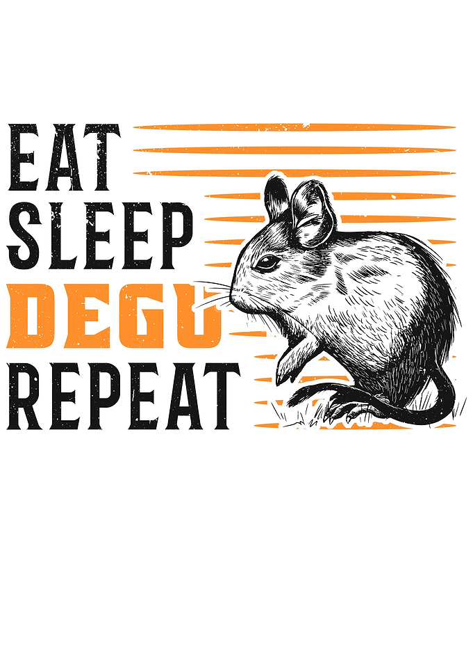 Eat Sleep Degu Repeat