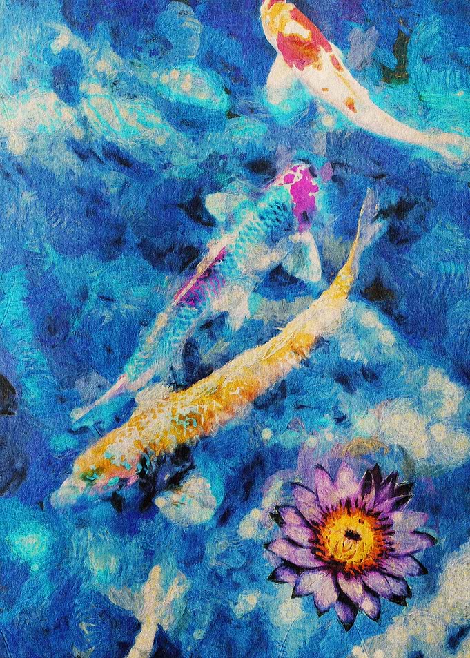 Blue Koi