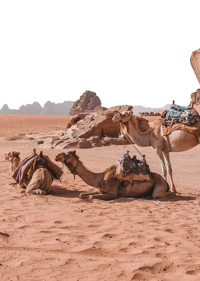 Moroccan Desert Art