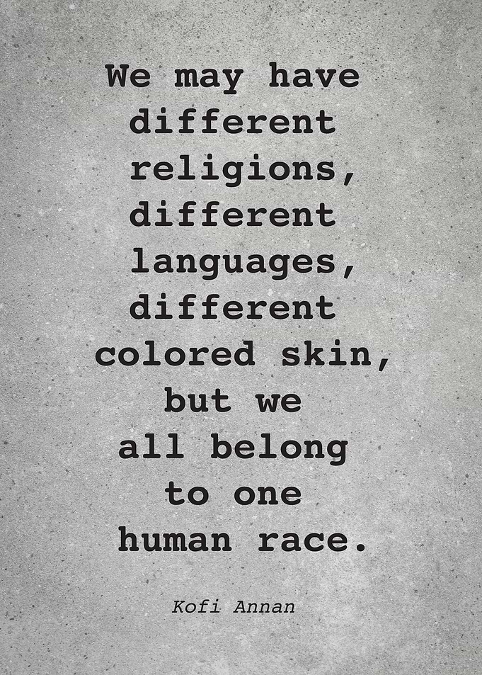 Kofi Annan Quote L001