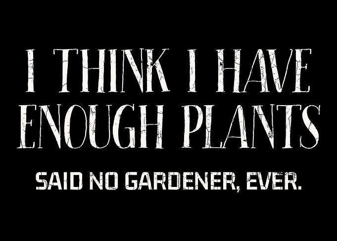 I Think I Have Enough Plan