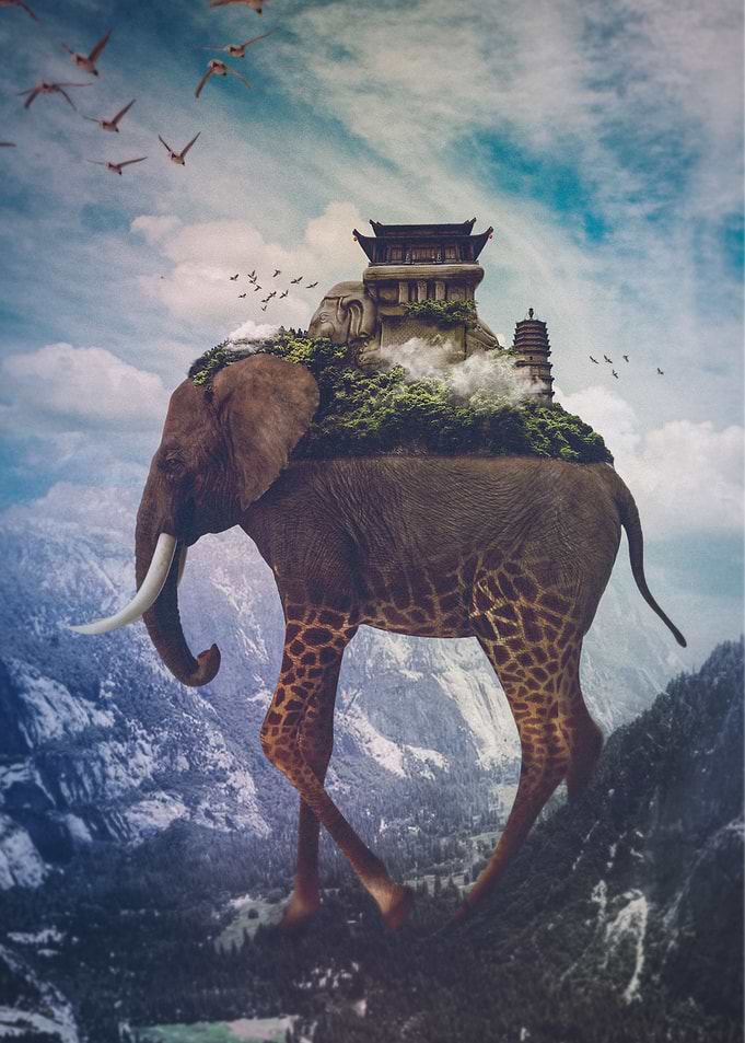 elephant