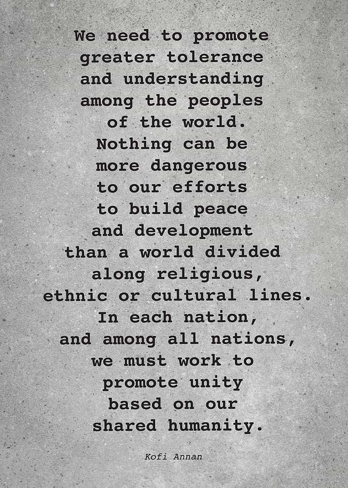 Kofi Annan Quote L006