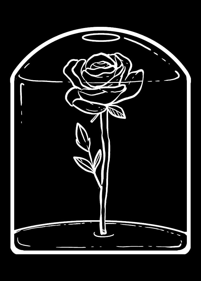 Magic Rose Fantasy Believe