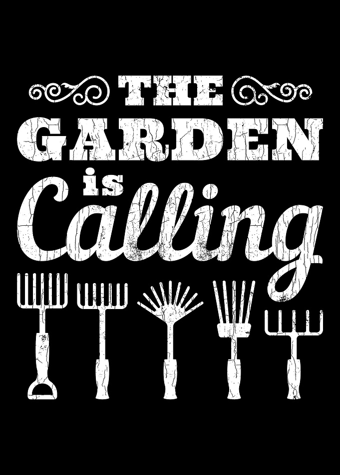 Gardening Funny The Garden