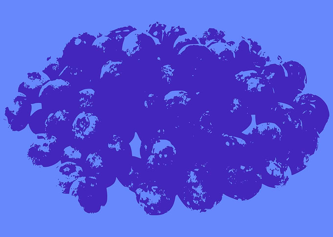 Blueberries