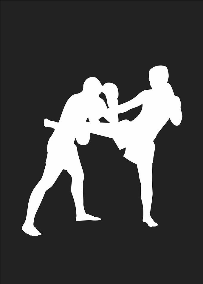 2 man in mma