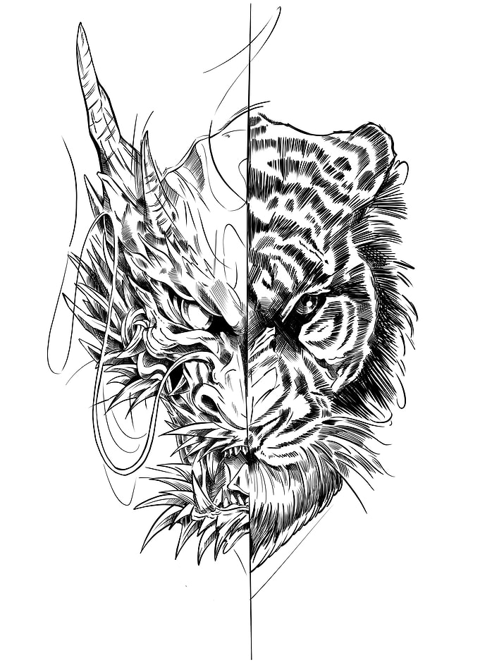 Dragon Tiger Sketch