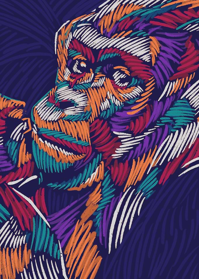Gorilla colorful popart
