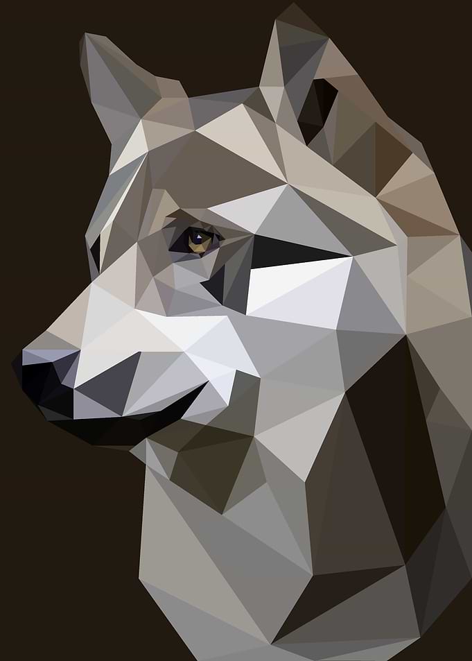 Animal Wolf lowpoly
