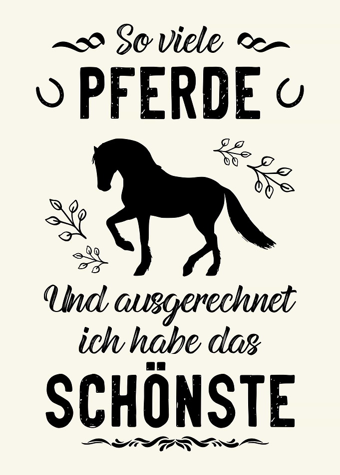 Toller Pferd Spruch