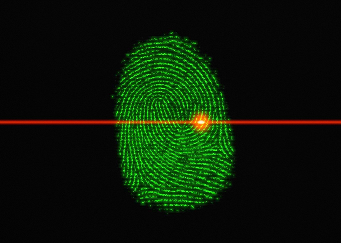 Fingerprints flash scanlin