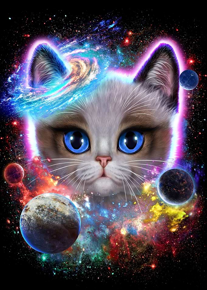 Ragdoll Cat in Space