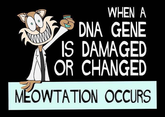Chemistry Chemist Science