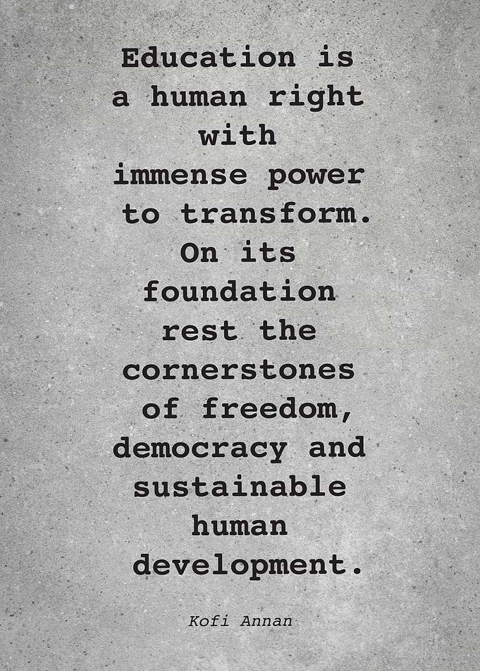 Kofi Annan Quote L011